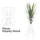 thumbnail image 3 of Estante para plantas de aire, soporte para plantas de diseño delicado, soporte de hierro para plantas de aire, exhibición de plantas de aire, 3 of 5