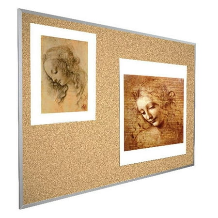 Best Rite E301AD 4 ft. H x 4 ft. W VT Logic Cork Board - Aluminum