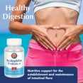 thumbnail image 4 of KAL Acidophilus ProBiotic - 4 | For Intestinal Flora Nutritive Support | 500 Million CFUs, 4 Strains | For Men & Women | Vegetarian Capsules | 100ct, 4 of 6