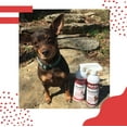 thumbnail image 5 of Speak Pet Products Dog Natural Leave-in Conditioning Spray Refill with Pump, Soothing Cherry Almond Oatmeal, 1 Gallon, 5 of 6