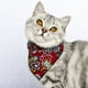 thumbnail image 1 of Zhuge Bandana para perros 1 pieza, mezcla de poliéster ligera de secado rápido, bufandas triangulares, baberos, pañuelo ajustable para perros, regalo para mascotas, M, A15, 1 of 3