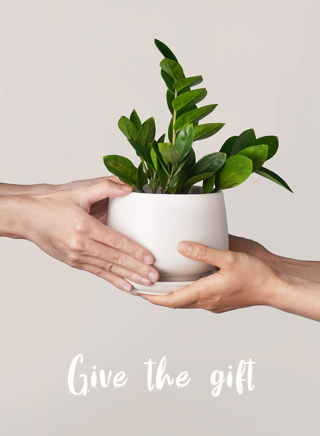 BEMAY Set of 3 Ceramic Plant Pots, 4.1" 5.1" 6.5" Indoor Planters with Drainage Hole and Saucer, White Round Flower Pots (Plants Not Included)