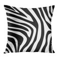 thumbnail image 1 of BOSDECO Abstract Zebra Pattern Black Detail Draw Pillowcase Pillow Cover Cushion Case 20x20 inch, 1 of 1