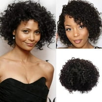 XIAQUJ Hair Wigs 10 Inch Short Curly Brazilian Wigs Brazilian Human Hair Wigs for Women Black