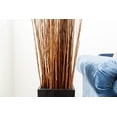 thumbnail image 3 of Green Floral Craft | 90-100 Stem Dried Asian Willow Decorative Branches 4-5 Feet Tall Floor Vase Filler (Honey), 3 of 7