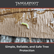 Tree Tanglefoot Insect Barrier 15oz Tub – Non-Toxic Sticky Coating Protects Trees from Crawling Insects - Weather Resistant Bug Glue for Trees