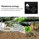 thumbnail image 3 of Muelle de plástico para tortugas, plataforma para tomar el sol, estante decorativo, oruga, techo solar, terraza, isla, estación de acuario para Decoración del hábitat del terrario transparente METRO Methold JJ13301-02, 3 of 6