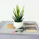 thumbnail image 5 of Juego de 2 plantas en maceta Mini plantas Pequeñas plantas artificiales decorativas con maceta de plástico blanco para el hogar, 5 of 7