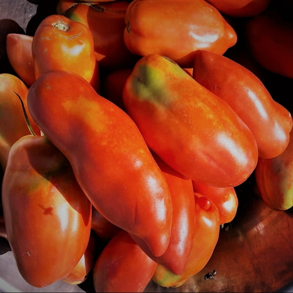 San Marzano Redorta Heirloom Tomato Seeds