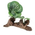 thumbnail image 2 of Adornos Decorativos de Plantas Realistas de Terrario de Resina y Plástico Salvador, 2 of 10
