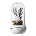 thumbnail image 1 of Lampe Rose Préservée Diffuseur d'Huile Essentielle Aromathérapie, 1 of 8