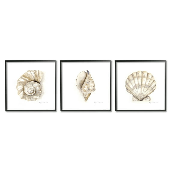 Stupell Industries Soft White Patterned Seashells Nautical Natural Neutrals Graphic Art Black Framed Art Print Wall Art Set of 3, 12x12, by Stephanie Workman Marrott