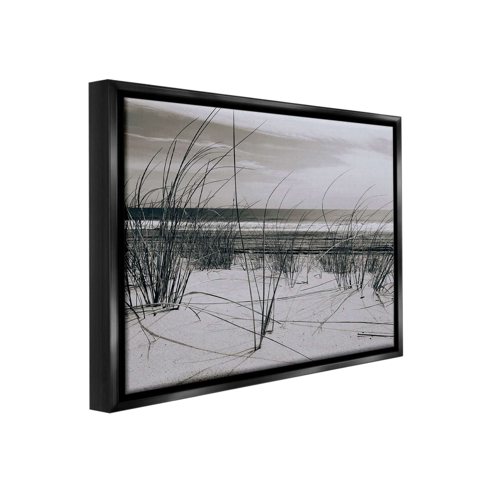 Stupell Industries Subtle Beach Reeds Landscape Photography Black Floater Framed Canvas Art Print Wall Art, 31 x 25