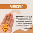 thumbnail image 3 of Restart Cúrcuma con Pimienta Negra y Boswellia | 1200mg | 95% Estandarizada | 60 Cápsulas Vcaps, 3 of 6