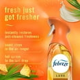 thumbnail image 3 of Luxe Air Mist - Tropical Blend - 8.1oz: Clear, Disposable, Non-Powered, 3 of 5