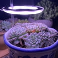 thumbnail image 3 of HSHDLDF Lumière Halo pour Plantes Spectre Complet Réglable LED avec Interrupteur de Minuterie Automatique USB pour Plantes d'Intérieur 3 Têtes / Adaptateur Inclus Rose Blanc, 3 of 7