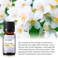 thumbnail image 2 of EUQEE 6Pcs Fragrance Oils Gift Set for Diffuser, Floral Essential Oils (10Ml), 2 of 12