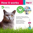 thumbnail image 5 of Pet Your Pet No Pee No Poop Cat Potty Training Spray, 8 fl oz – Safe & Non-Toxic for Kittens & Cats, Outdoor, 5 of 10
