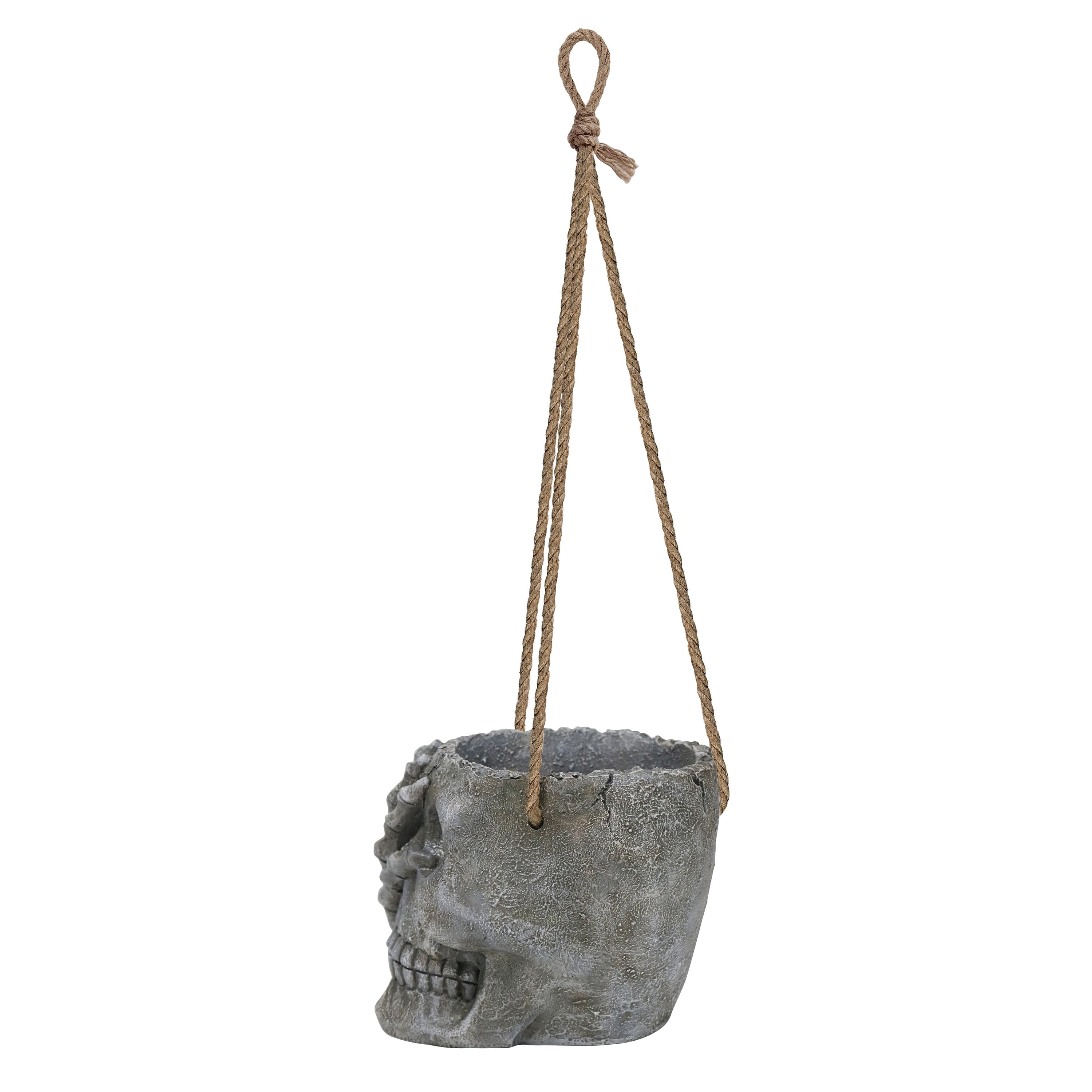 Blow Mold Skull Hanging Holder, Gray, Halloween by Way To Celebrate