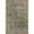 thumbnail image 4 of BERTHMEER 6'x9' Washable Golden Brown Area Rugs for Living Room Bedroom Kitchen Rugs Non Slip Vintage Traditional Dorm Office Dining Room Farmhouse Oriental Distressed Rugs, 4 of 9