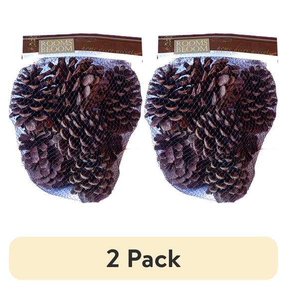 (2 pack) Rooms in Bloom Natural Brown Cinnamon Scented Pine Cones Potpourri