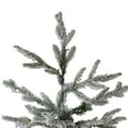 thumbnail image 5 of Northlight 9' Pre-Lit Flocked Winfield Fir Artificial Christmas Tree - Clear Lights, 5 of 7
