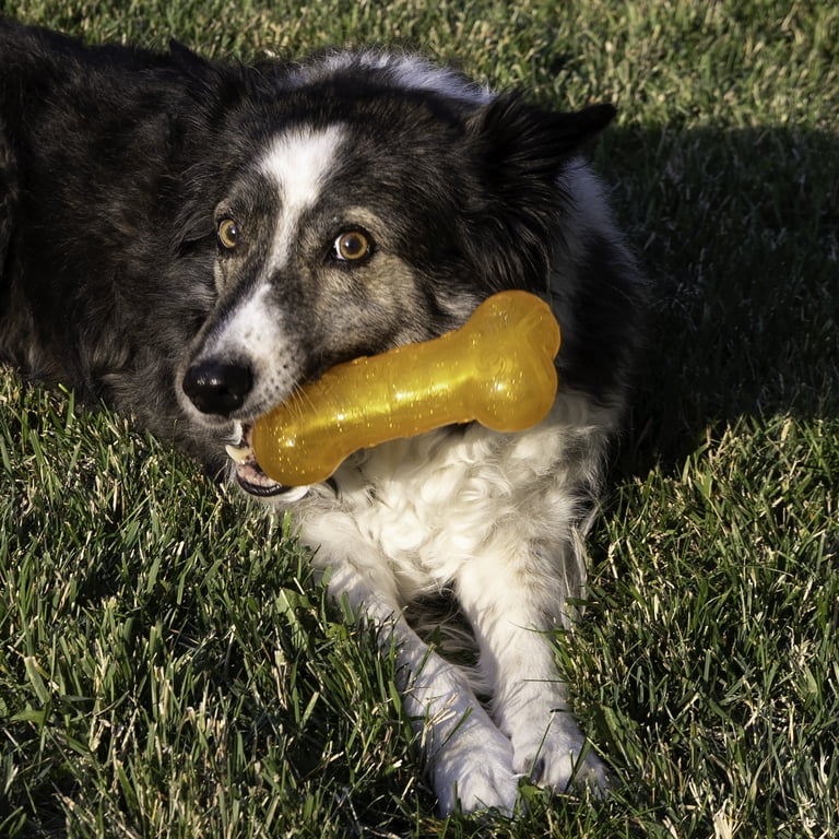 KONG Squeezz Crackle Bone Dog Toy, Large photo 3