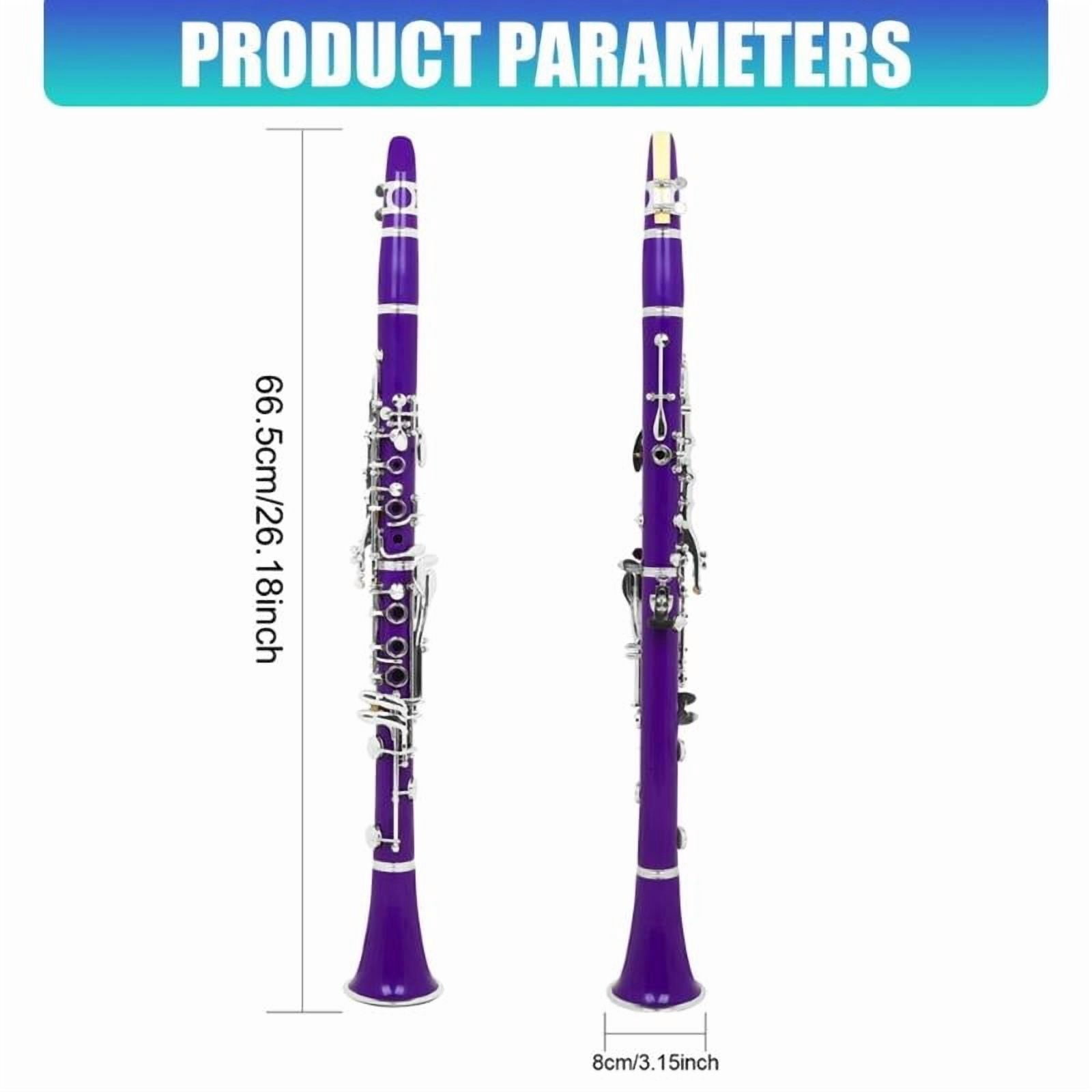 CEORPER 17 Keys Clarinet with Clarinet Carrying Case and Clarinet Maintaince Tool Set