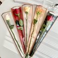 thumbnail image 3 of 50Pcs Single Flower Wrapping Bag Golden Edge Transparent Bouquet Packaging Bag for Mother's Day Wedding Party Gift, 3 of 4