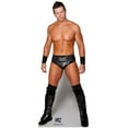 thumbnail image 1 of Stand-Up en Carton The MIZ - WWE, 1 of 1