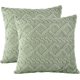 thumbnail image 1 of BR Fundas de Cojín de Felpa Suave Verde Salvia - Paquete de 2 - Fundas de Almohada Cuadradas Estilo Boho de 45x45 - Funda de Almohada Corta y Esponjosa de Lana Sintética - Fundas de Almohada, 1 of 5
