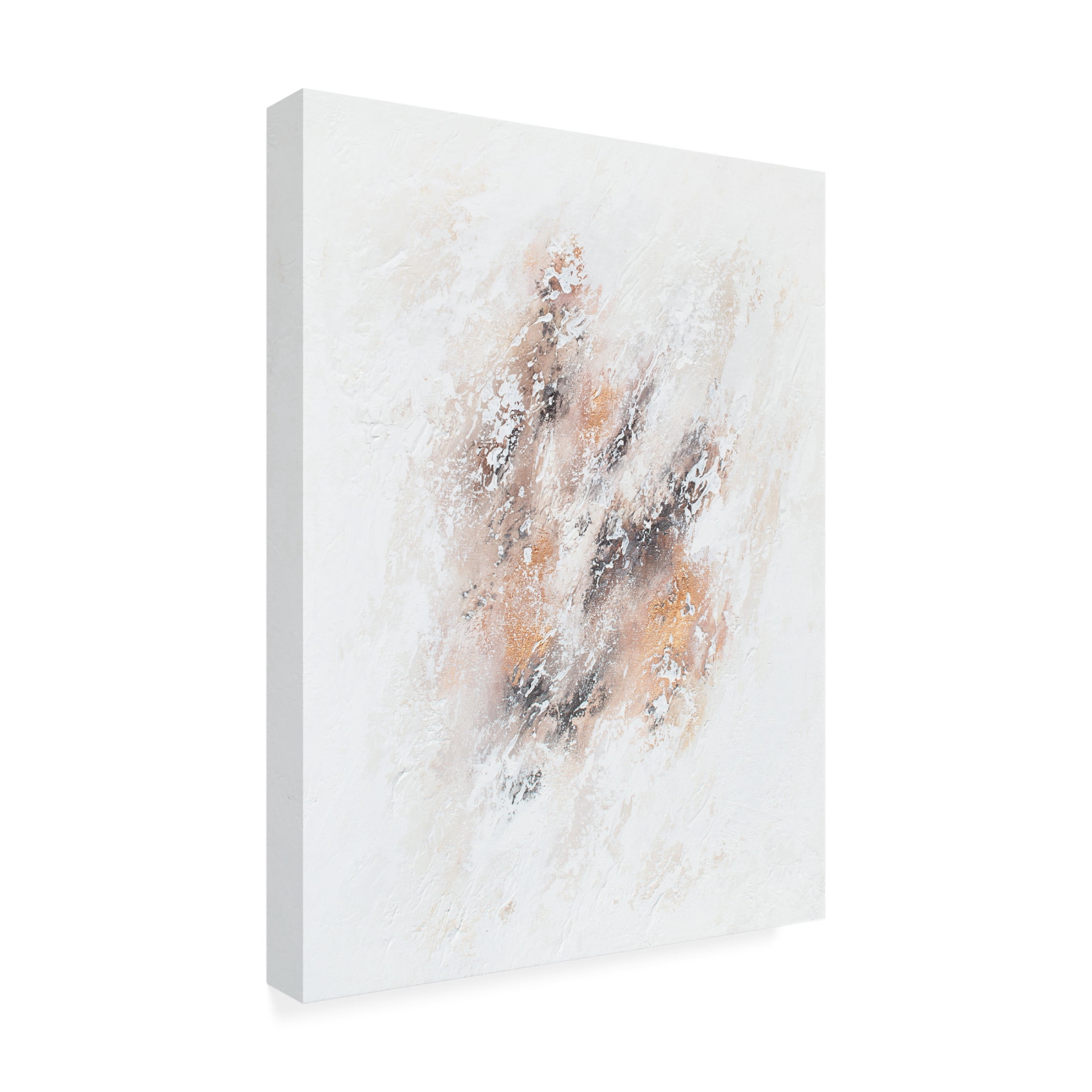 Trademark Fine Art Alyson Storms  Snowstorm Canvas Wall Art