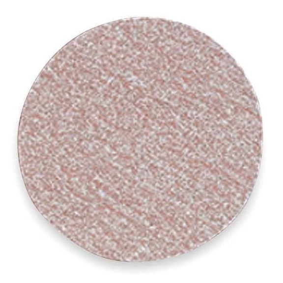 Norton Abrasives Hook-and-Loop Sand Disc,6 in Dia,PK100 66261131556