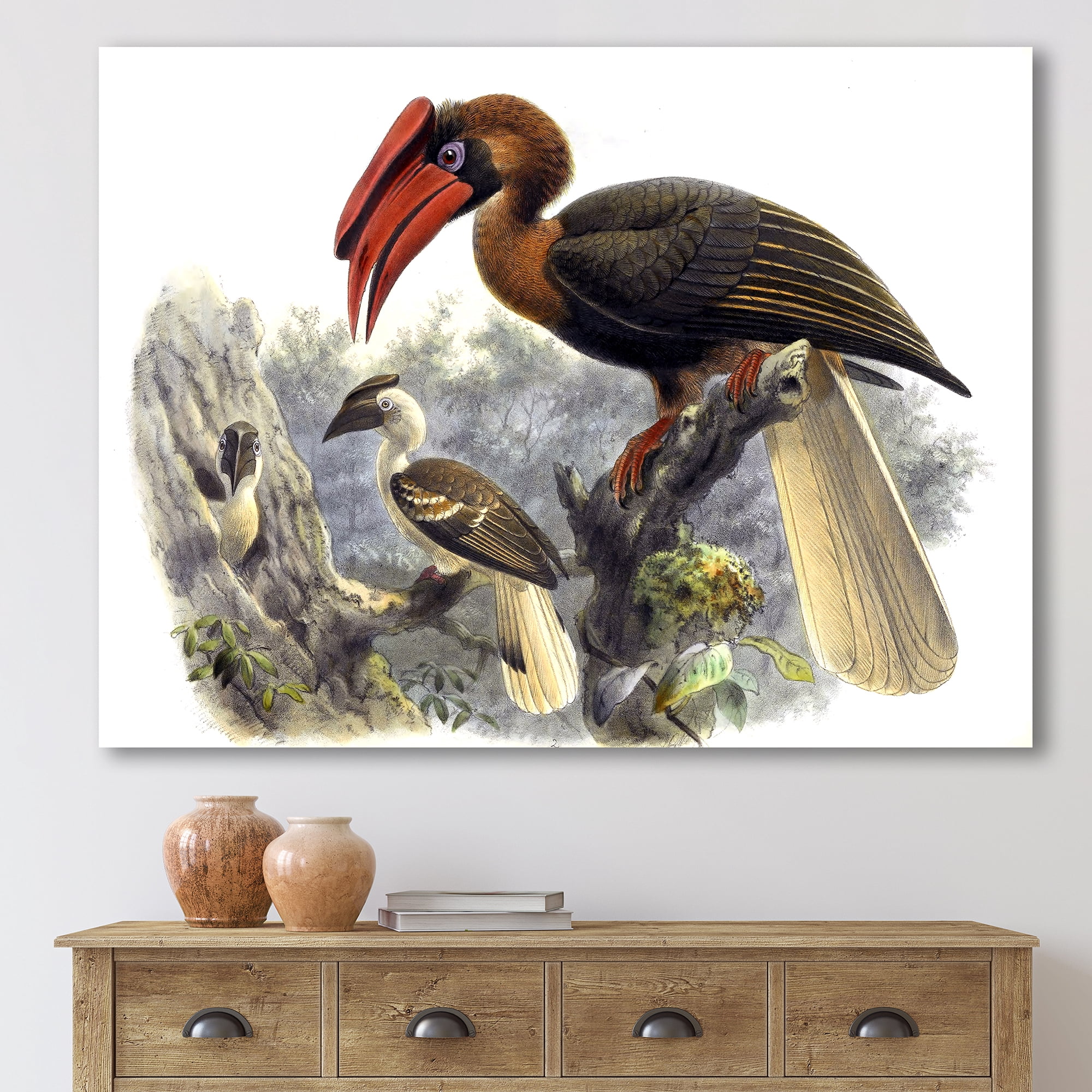 Designart ' Ancient Australian Birds XI ' Traditional Canvas Wall Art Print