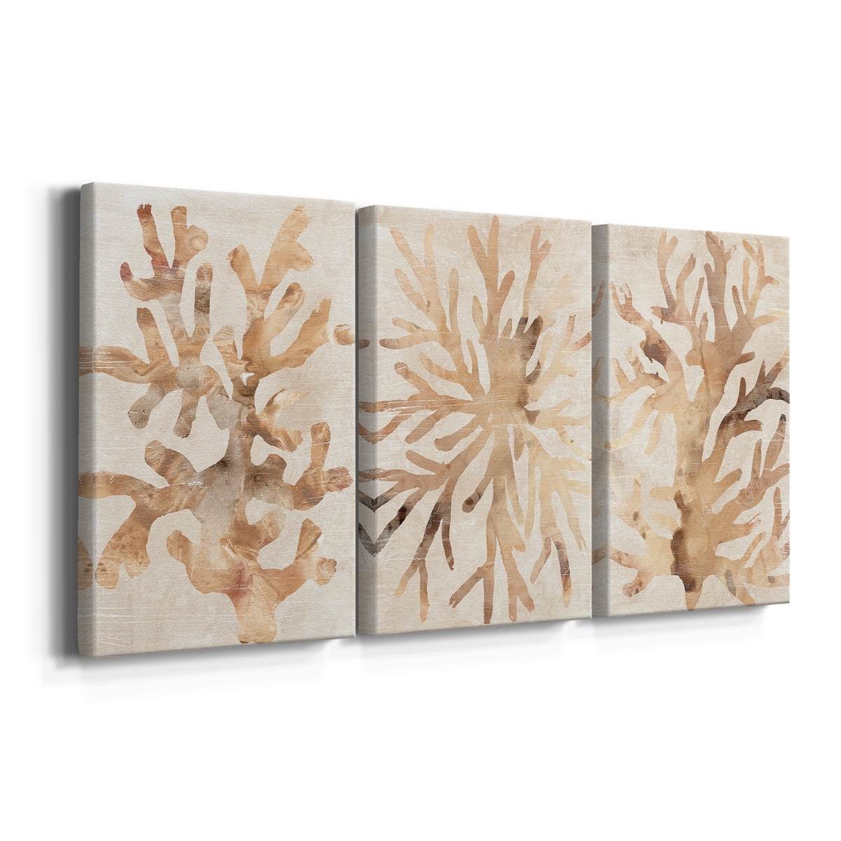Parchment Coral I Premium Gallery Wrapped Canvas - Ready to Hang - 40 x 60 Each