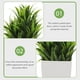 thumbnail image 3 of ColoMX 4 Uds pequeñas plantas falsas Mini plantas artificiales con planta de plástico planta en maceta falsa para el hogar y la Oficina, 3 of 7