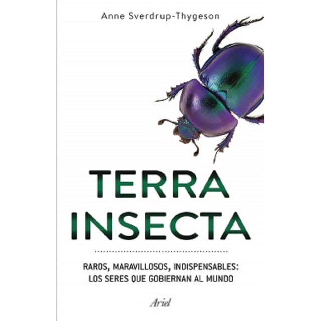 TERRA INSECTA ARIEL MEXICO ANNE SVERDRUP-THYGESON