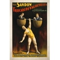 thumbnail image 5 of The Sandow Trocadero Vaudevilles Weightlifting, Vintage Advertisement, Lantern Press, Premium Playing Cards, 52 Card Deck with Jokers, USA Made, 5 of 5