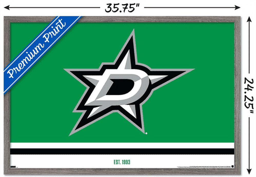 NHL Dallas Stars - Logo 21 Wall Poster, 22.375" x 34", Framed