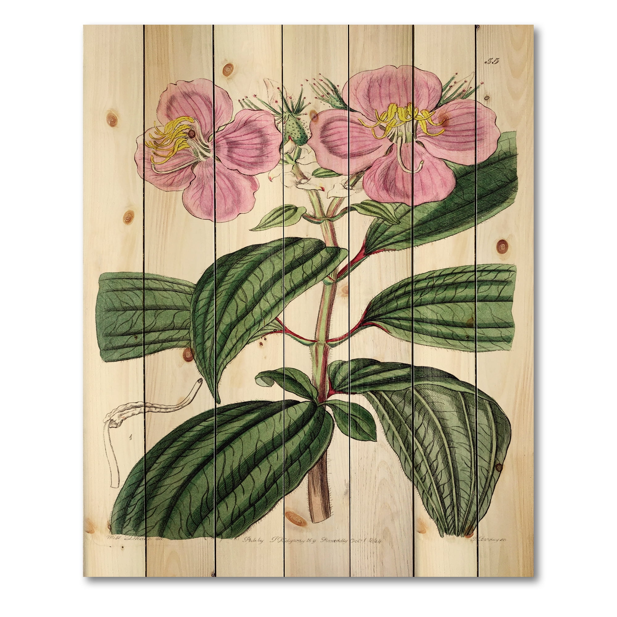 Designart 'Ancient Plant Life XXIII' Traditional Print on Natural Pine Wood