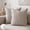 Brown, variant on Lanbertent Decorative Throw Pillow, 2-Pack 18"x18" Chenille Couch Pillows, Soft Modern Neutral Cushion for Sofa Living Room Bedroom, Brown (2-Pack Inserts Included)