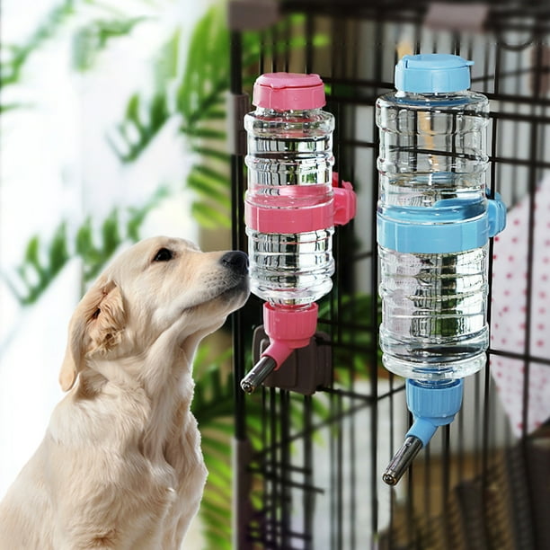 Dog drinker clearance