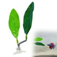 thumbnail image 2 of XJGHHSY 2 Pack Betta Fish Leaf Pad Improves Betta's Health by Simulating the Natural Habitat - Natural, organic, Comfortable Rest Area for Fish Aquarium ornaments,Mix-Green, 2 of 8