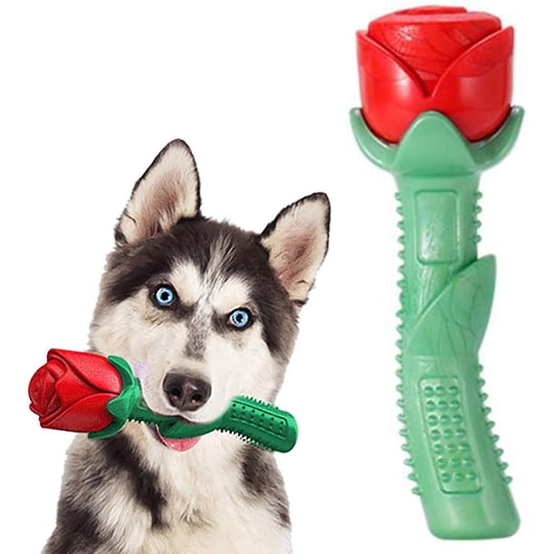 Juguetes para perros, juguetes para masticar Heilwiy, juguetes para perros grandes y medianos, regalo indestructible Heilwiy Squeak