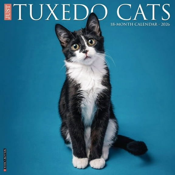 Tuxedo Cats 2026 Wall Calendar, (Paperback)