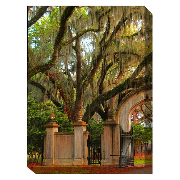 Outdoor Waterproof and Weatherproof Wall Canvas Art, THE SENTRY