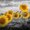 Sunflowers In The Evening Yellow Color Pop, variant on Elephant Stock Sunflowers In The Evening Yellow Color Pop Wall Art - Living Room Wall Decor - Floral And Botanical Multi Panel - Orange And Gray Decor By Melanie Viola - 65" x 42"
