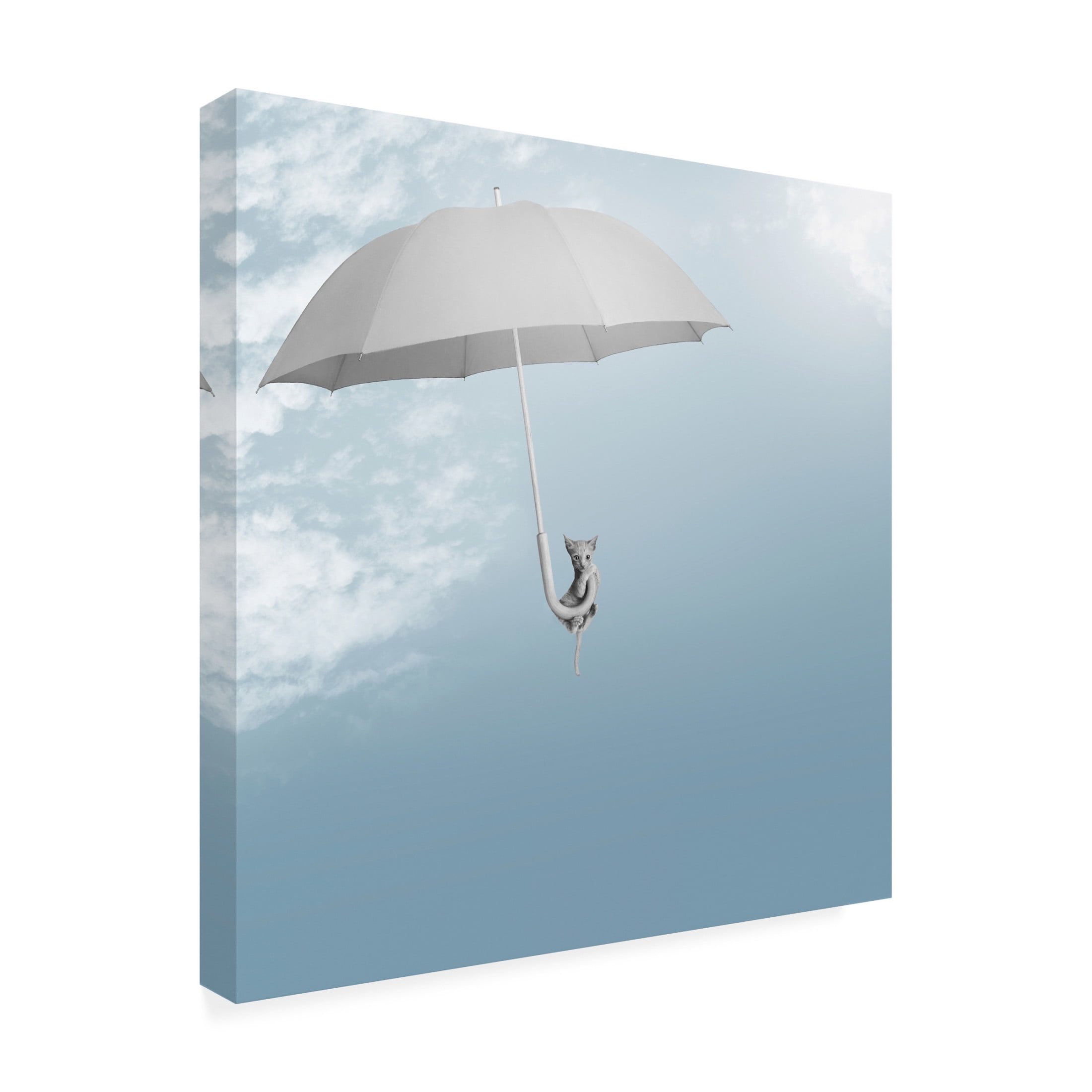 Canvas Wall Art - Jon Bertelli 'Riding The Skies' Wall Art for Living Room, Bedroom, or Office Décor by Trademark Fine Art - 35 x 35 Inches