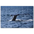thumbnail image 1 of Picture-Tiles.com: Whale Ceramic Tile Wall Mural WAL501196-64M. 36"W x 24"H using (24) 6" x 6" Ceramic Tiles-Satin Finish, 1 of 3