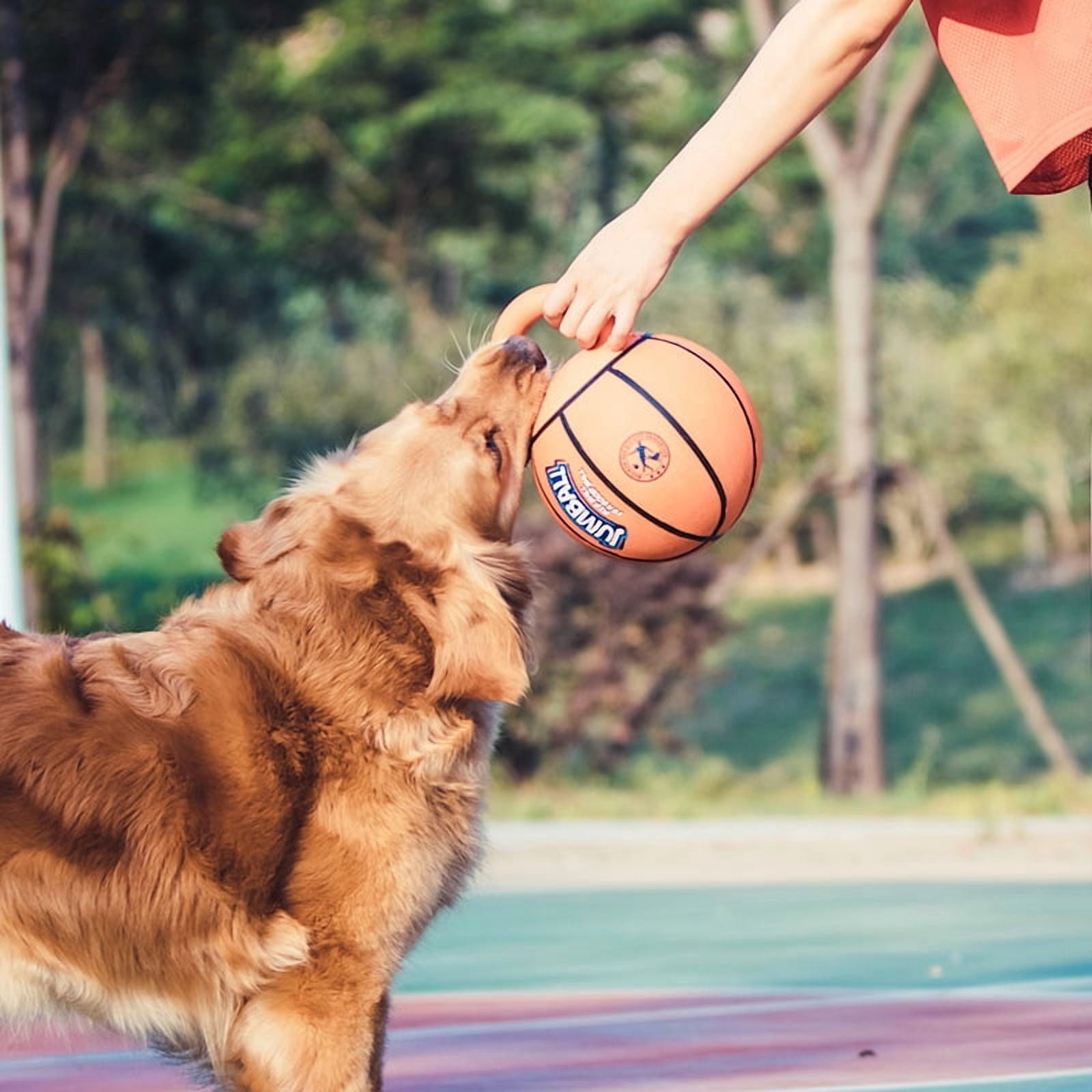 GiGwi Jumball Rubber Basketball Dog Toy with Handle High Visability Throw Fetch Toy Dog Ball